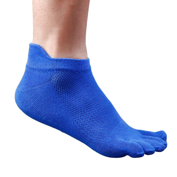 Color Mesh Socks