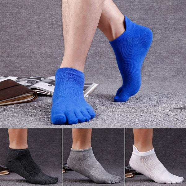 Color Mesh Socks