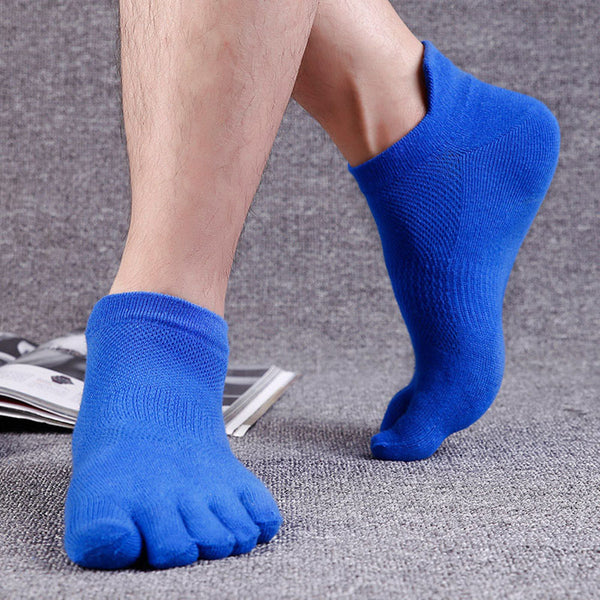 Color Mesh Socks