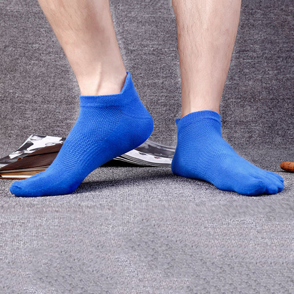 Color Mesh Socks