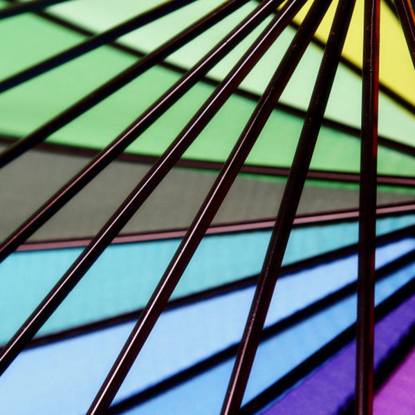 Sun/Rain Stick Umbrella
